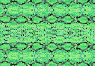 snake skin patterns